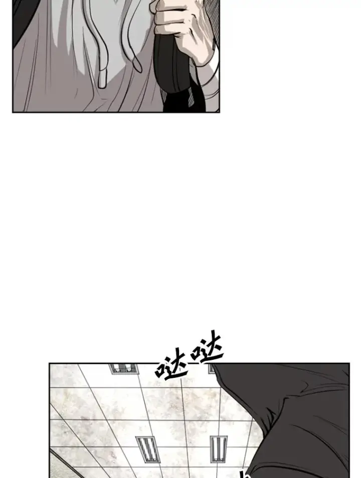 《鲨鱼》127.报名图70