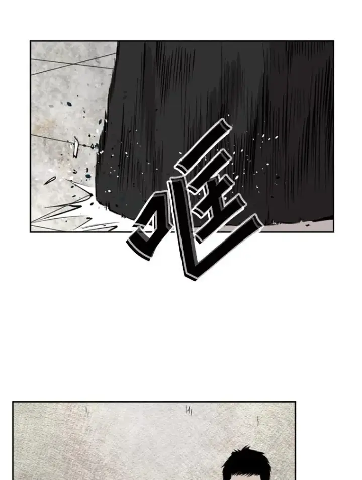 《鲨鱼》127.报名图91