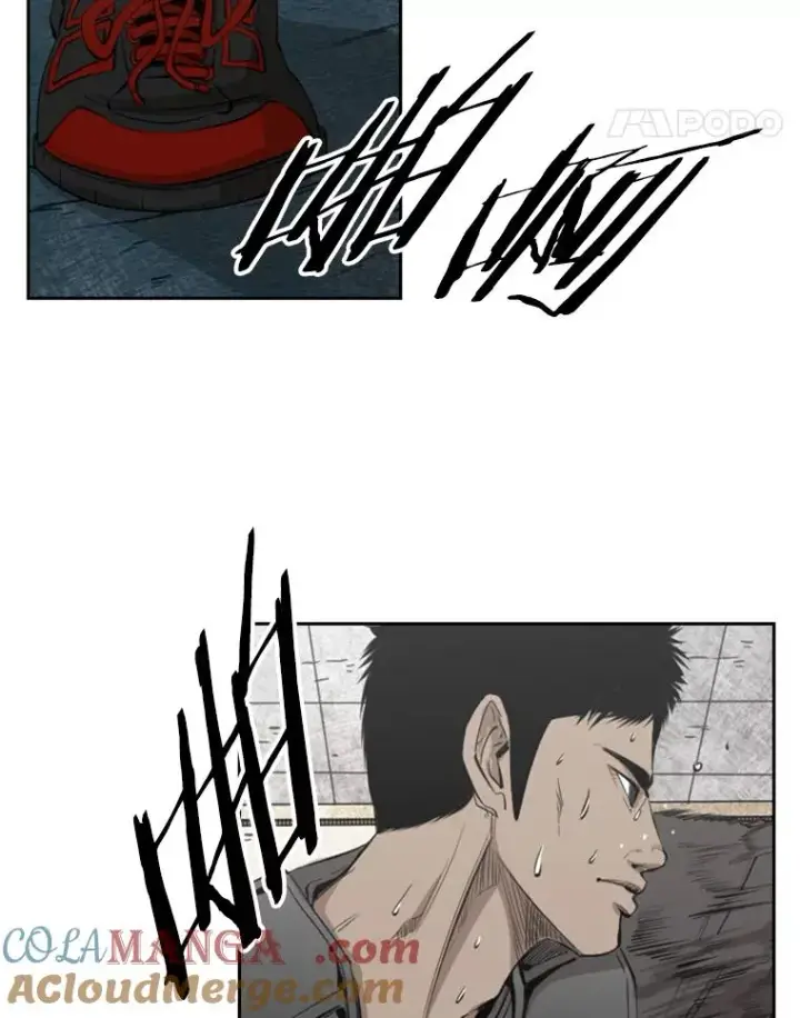 《鲨鱼》129.接受挑战图29