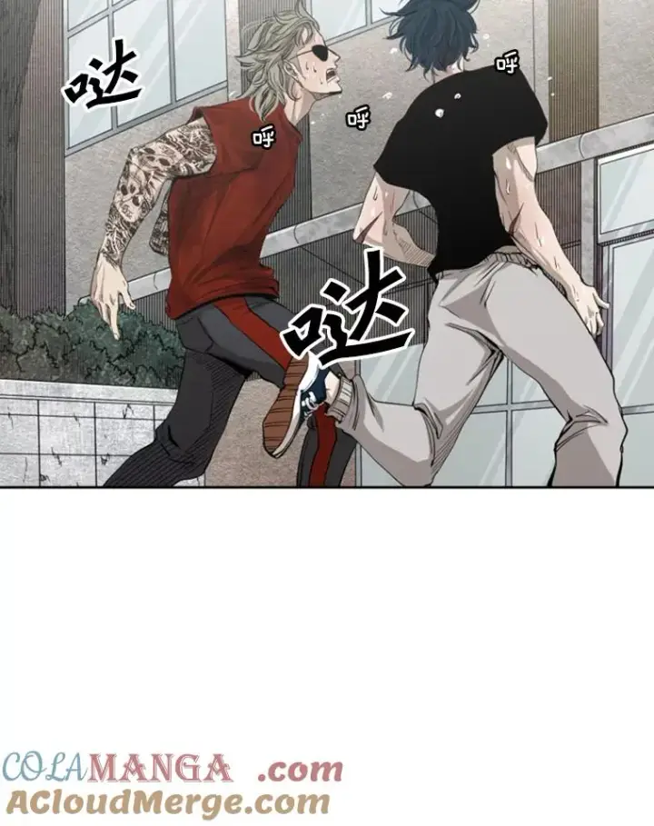《鲨鱼》132.第1轮预赛图29
