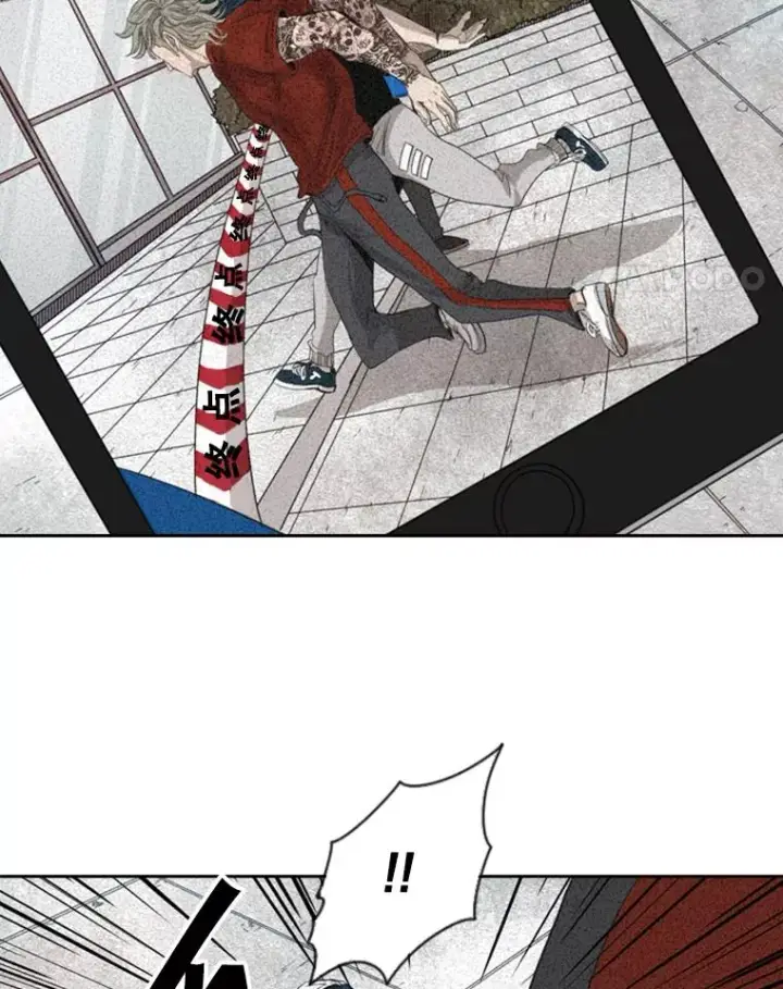 《鲨鱼》132.第1轮预赛图44