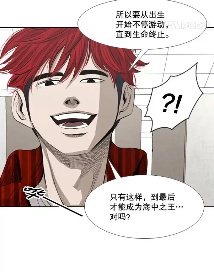 《鲨鱼》140.录节目图80