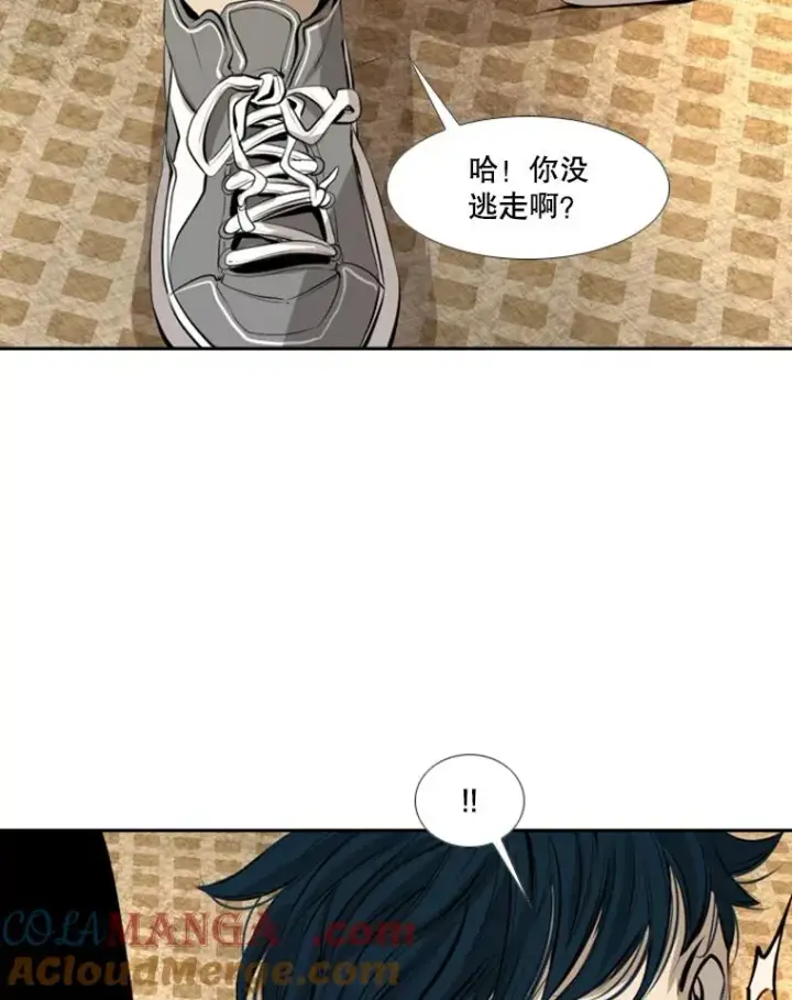 《鲨鱼》145.开始倒计时图21