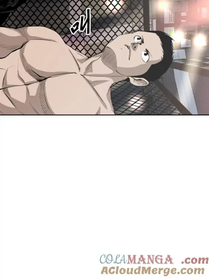 《鲨鱼》146.A组8强赛图29