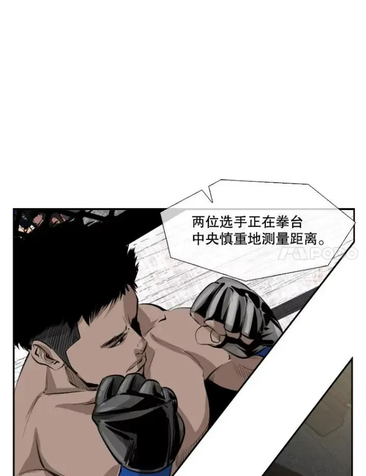 《鲨鱼》146.A组8强赛图38