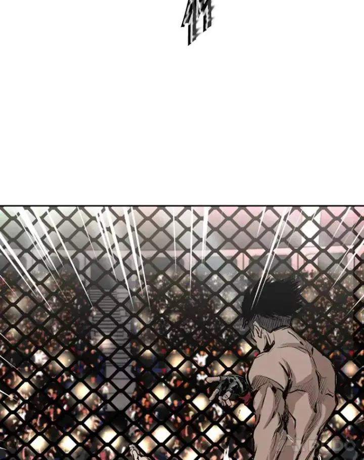 《鲨鱼》146.A组8强赛图78