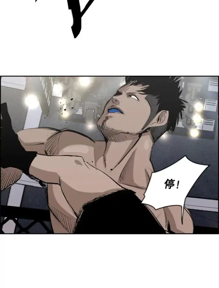 《鲨鱼》146.A组8强赛图99