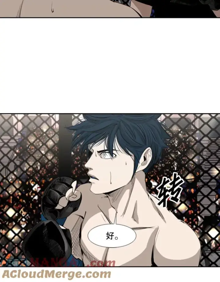 《鲨鱼》149.比赛激烈进行中图21