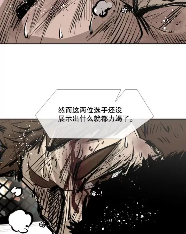 《鲨鱼》150.这是属于我的擂台图76