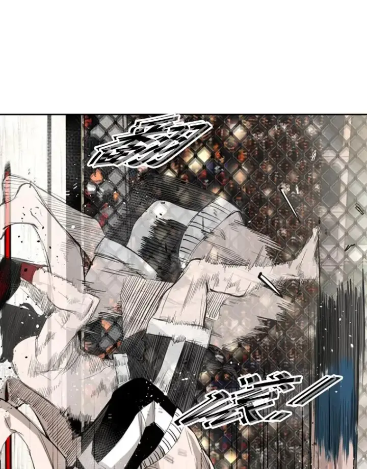 《鲨鱼》152.柔术对抗泰拳图2