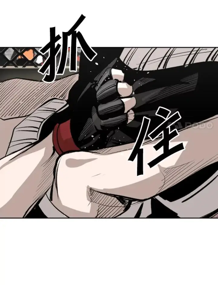 《鲨鱼》152.柔术对抗泰拳图35