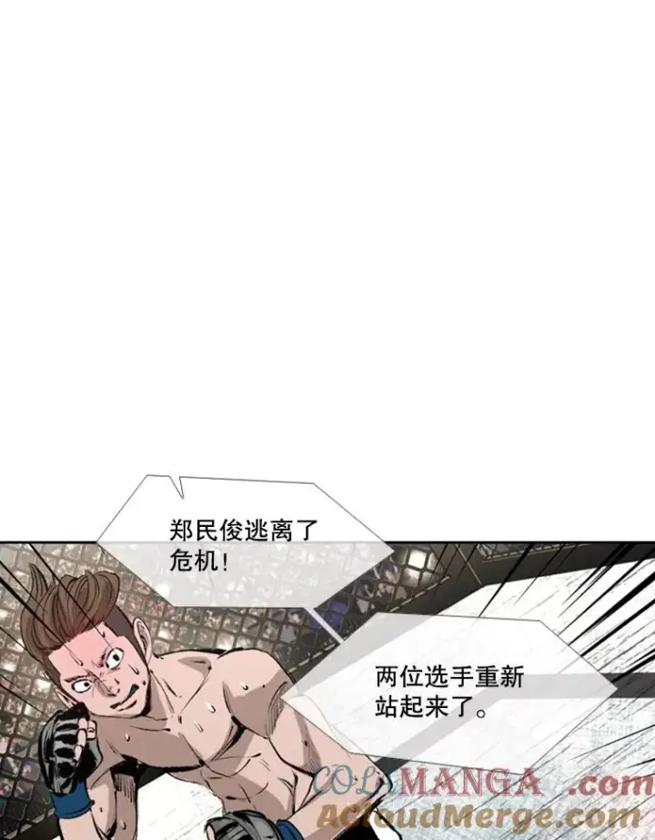 《鲨鱼》152.柔术对抗泰拳图49
