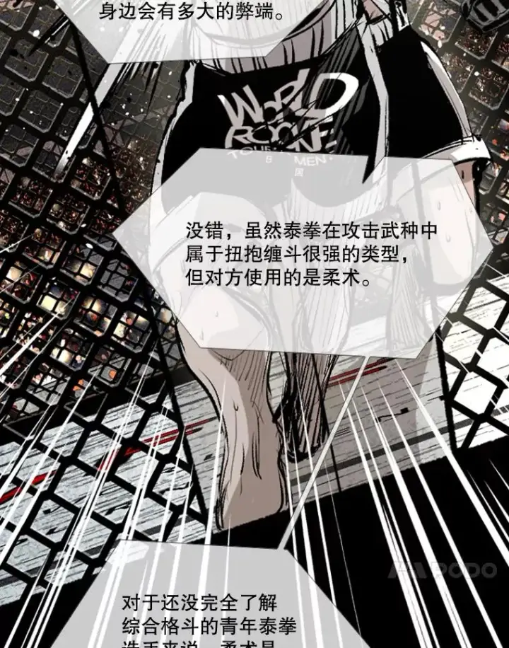 《鲨鱼》152.柔术对抗泰拳图71