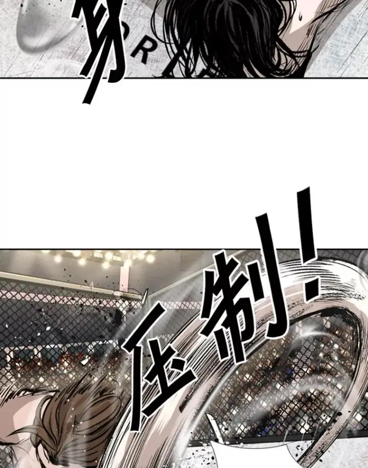 《鲨鱼》152.柔术对抗泰拳图84