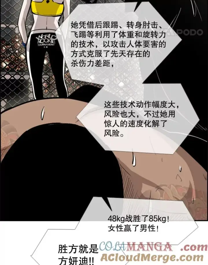《鲨鱼》153.女王马蜂图105