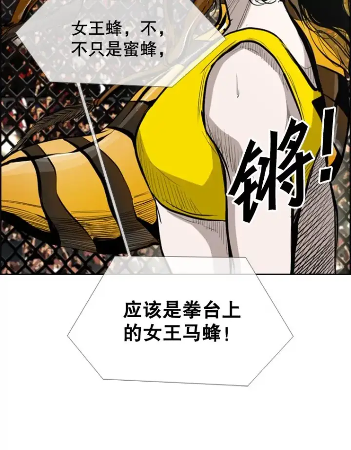 《鲨鱼》153.女王马蜂图107