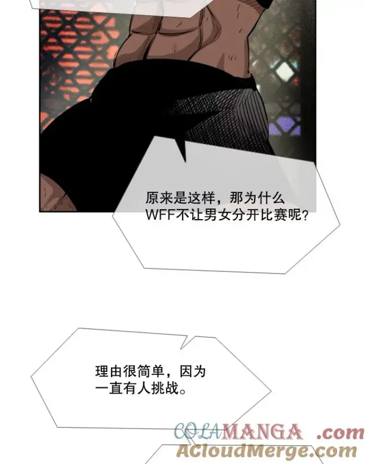 《鲨鱼》153.女王马蜂图17