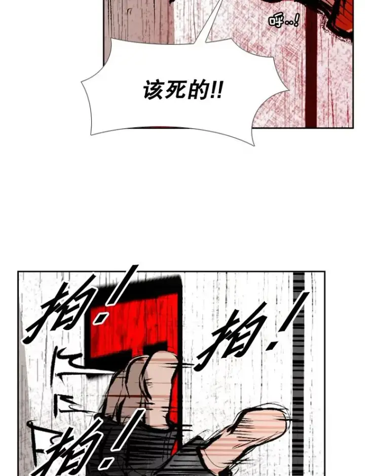 《鲨鱼》153.女王马蜂图2