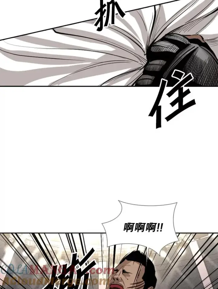 《鲨鱼》153.女王马蜂图33