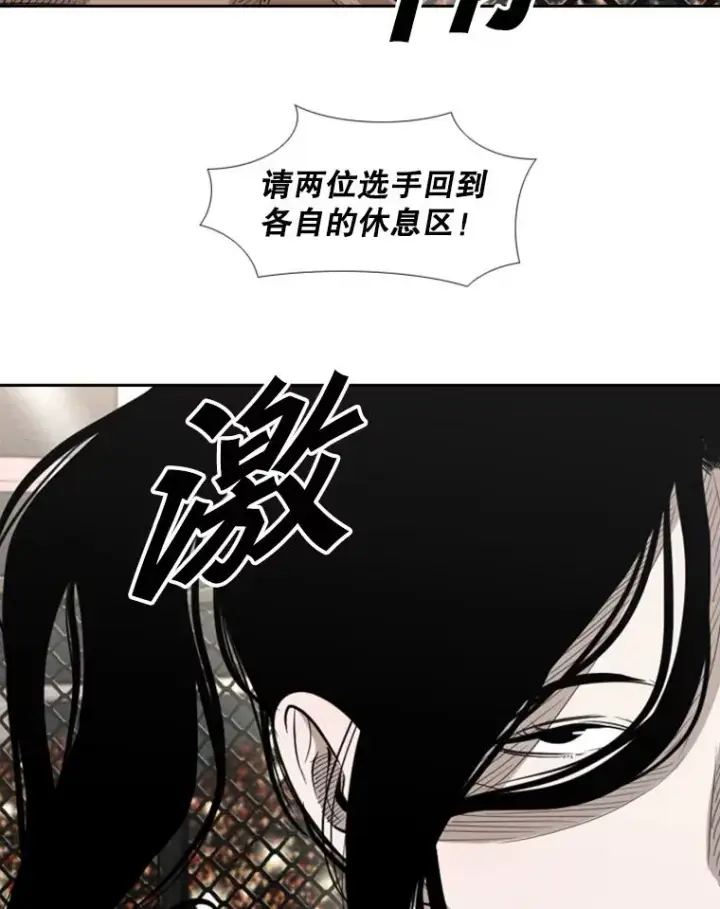 《鲨鱼》153.女王马蜂图40