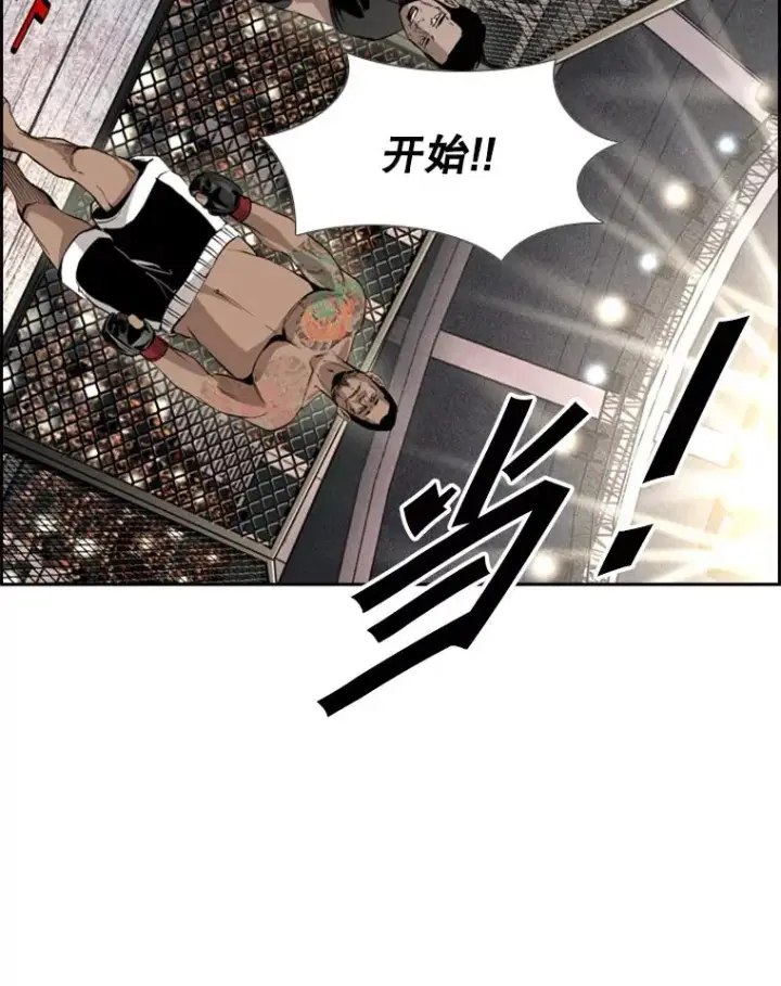 《鲨鱼》153.女王马蜂图43