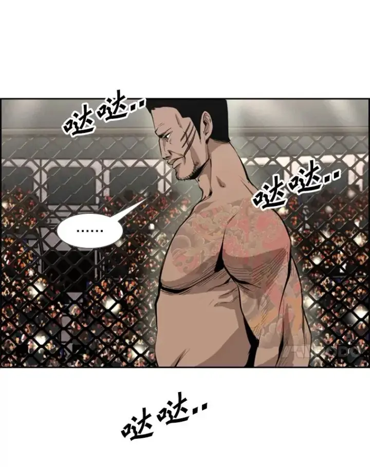 《鲨鱼》153.女王马蜂图44