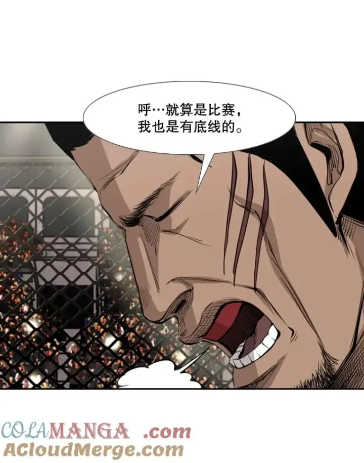 《鲨鱼》153.女王马蜂图45