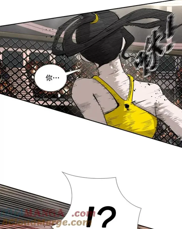 《鲨鱼》153.女王马蜂图49