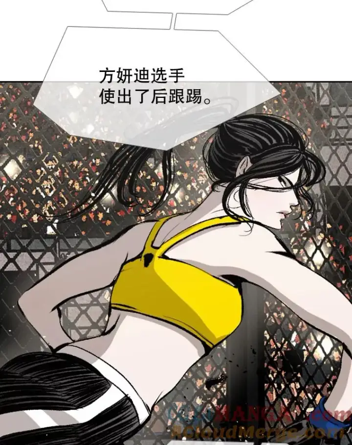 《鲨鱼》153.女王马蜂图53