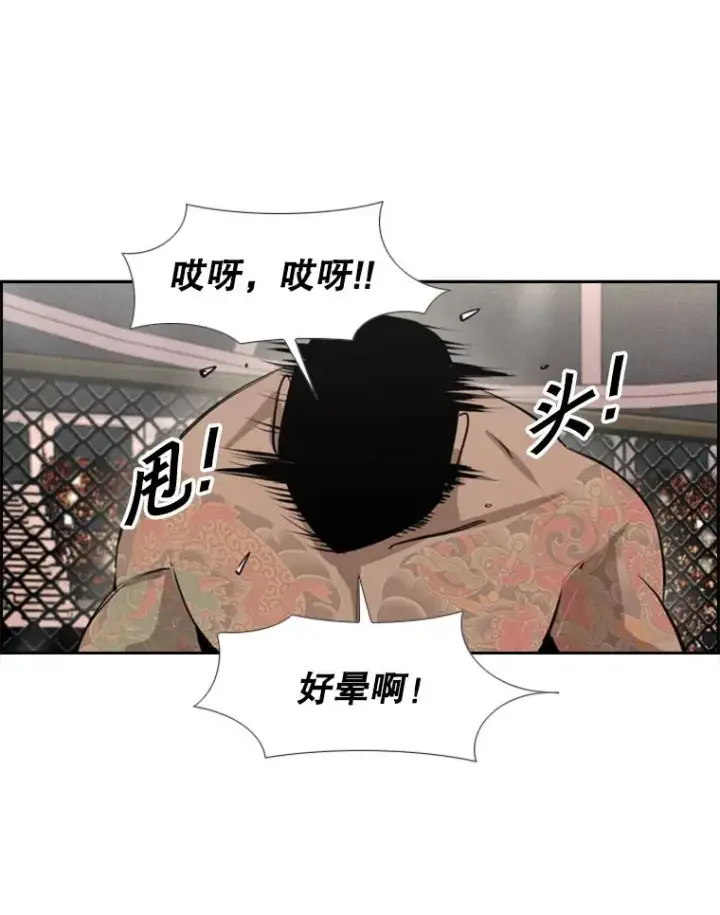 《鲨鱼》153.女王马蜂图56