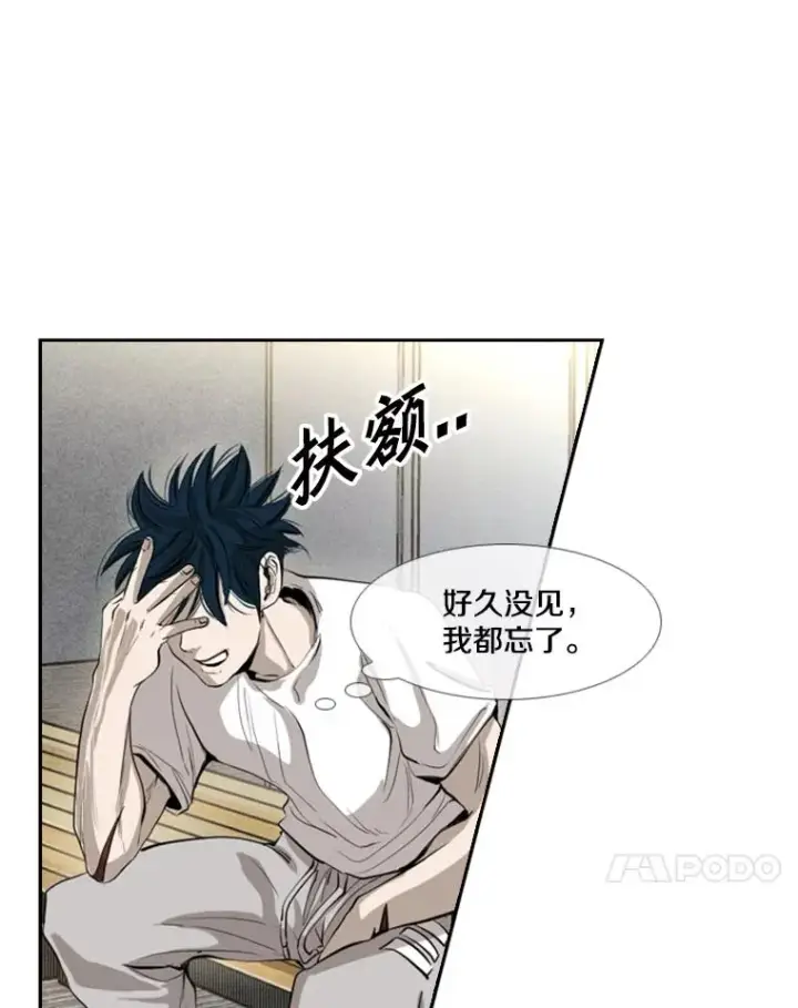 《鲨鱼》153.女王马蜂图68