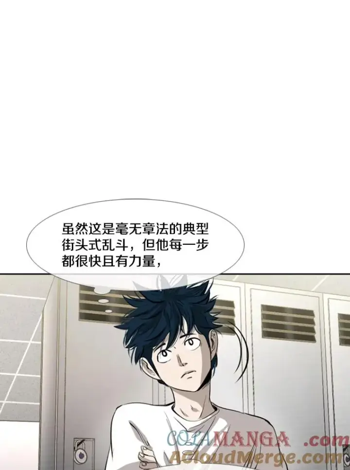 《鲨鱼》153.女王马蜂图81