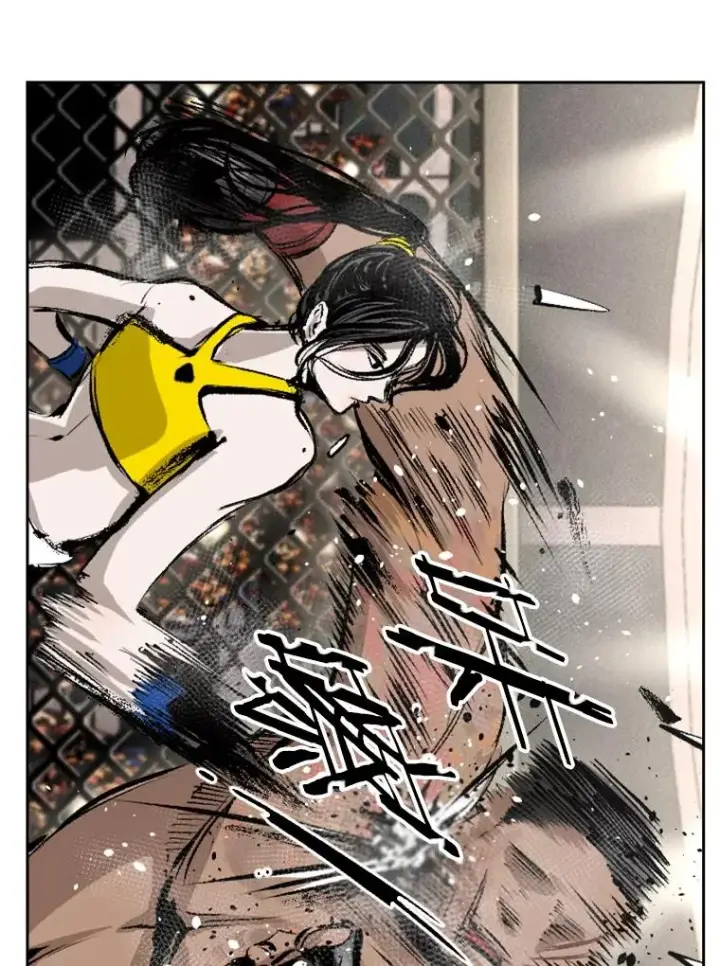 《鲨鱼》153.女王马蜂图84