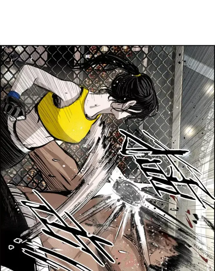 《鲨鱼》153.女王马蜂图94