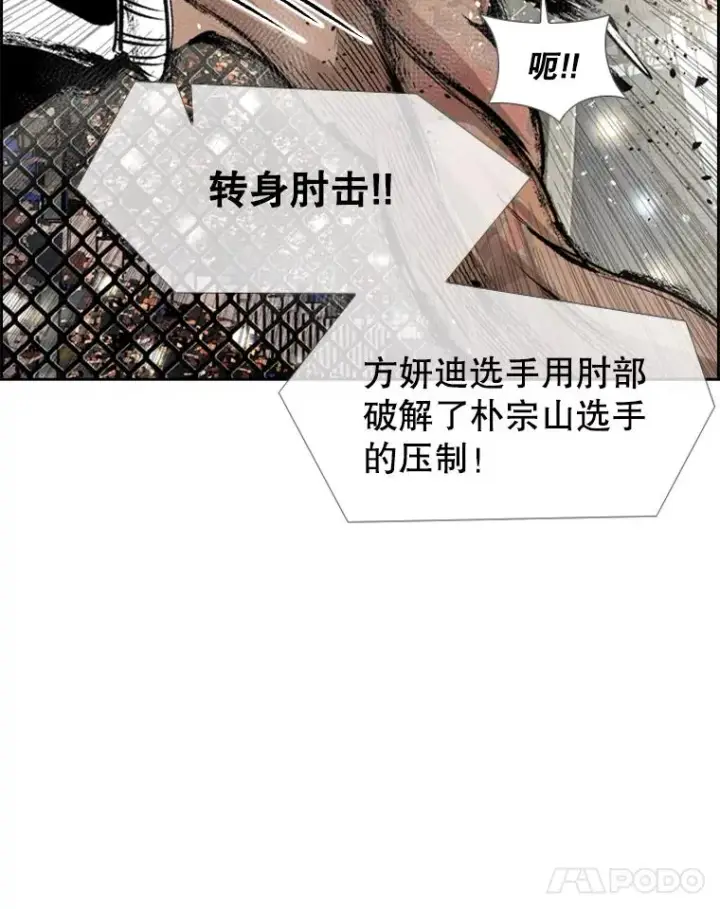 《鲨鱼》153.女王马蜂图95