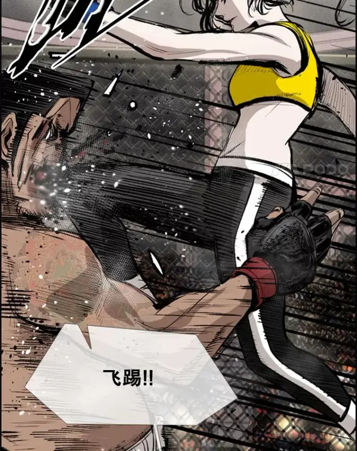 《鲨鱼》153.女王马蜂图98