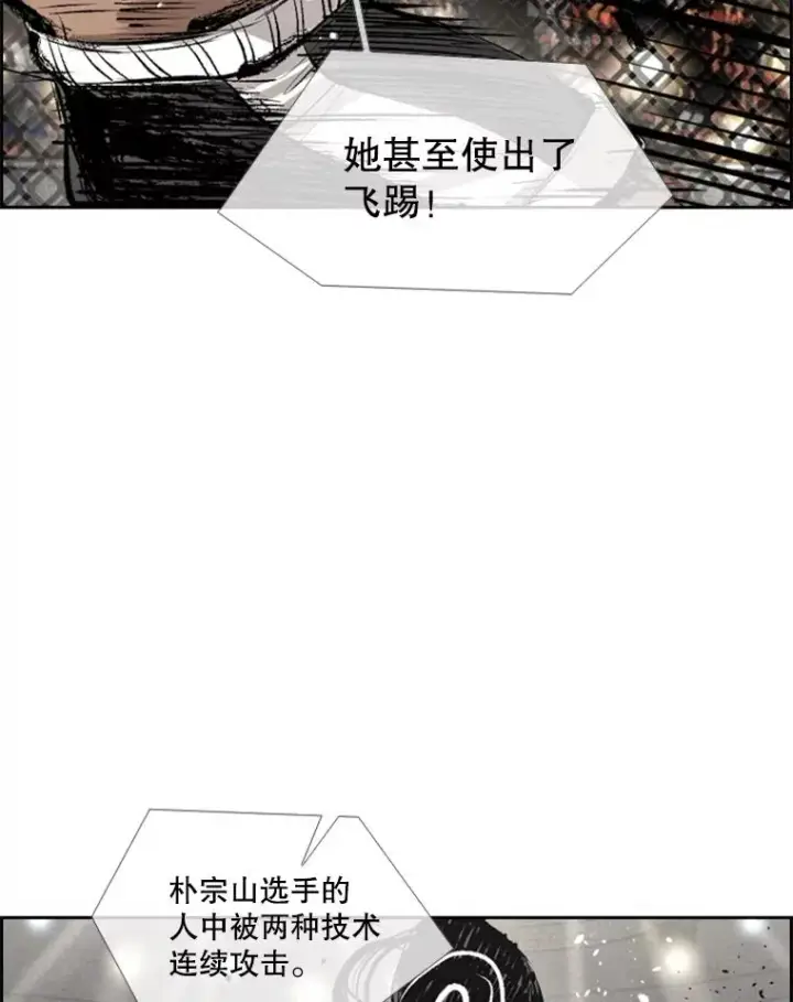 《鲨鱼》153.女王马蜂图99