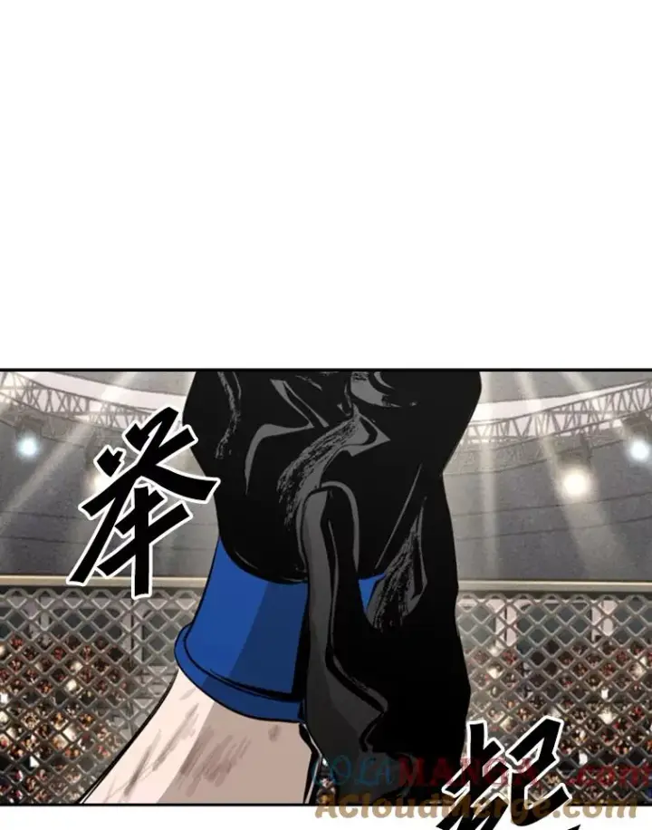 《鲨鱼》154.截拳道的威力图25