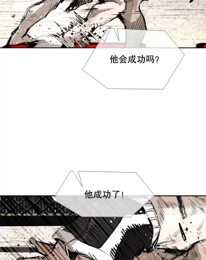 《鲨鱼》154.截拳道的威力图42