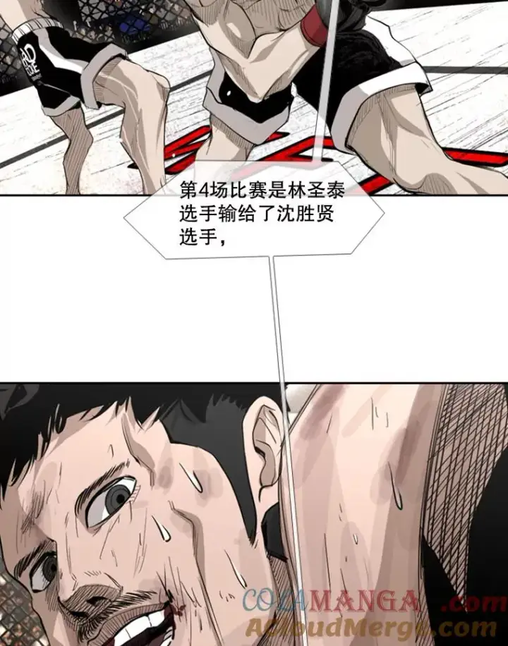 《鲨鱼》155.B组8强赛开始图29