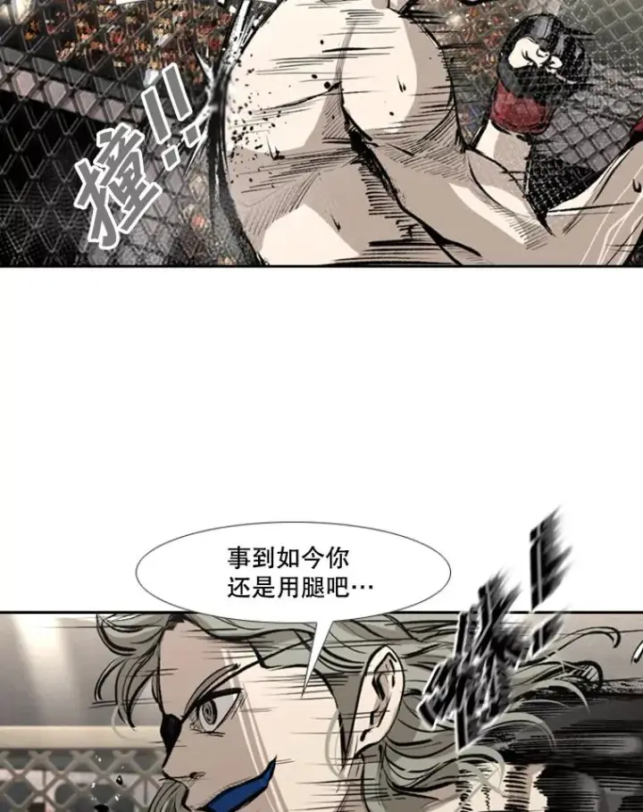 《鲨鱼》157.魔法踢腿图31