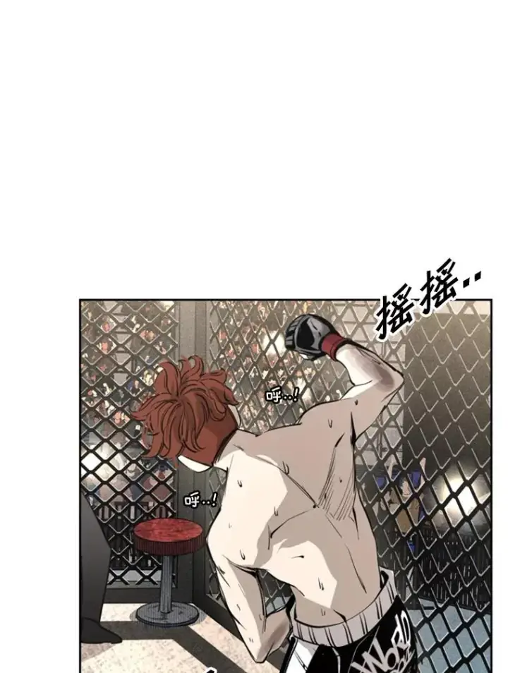 《鲨鱼》157.魔法踢腿图46