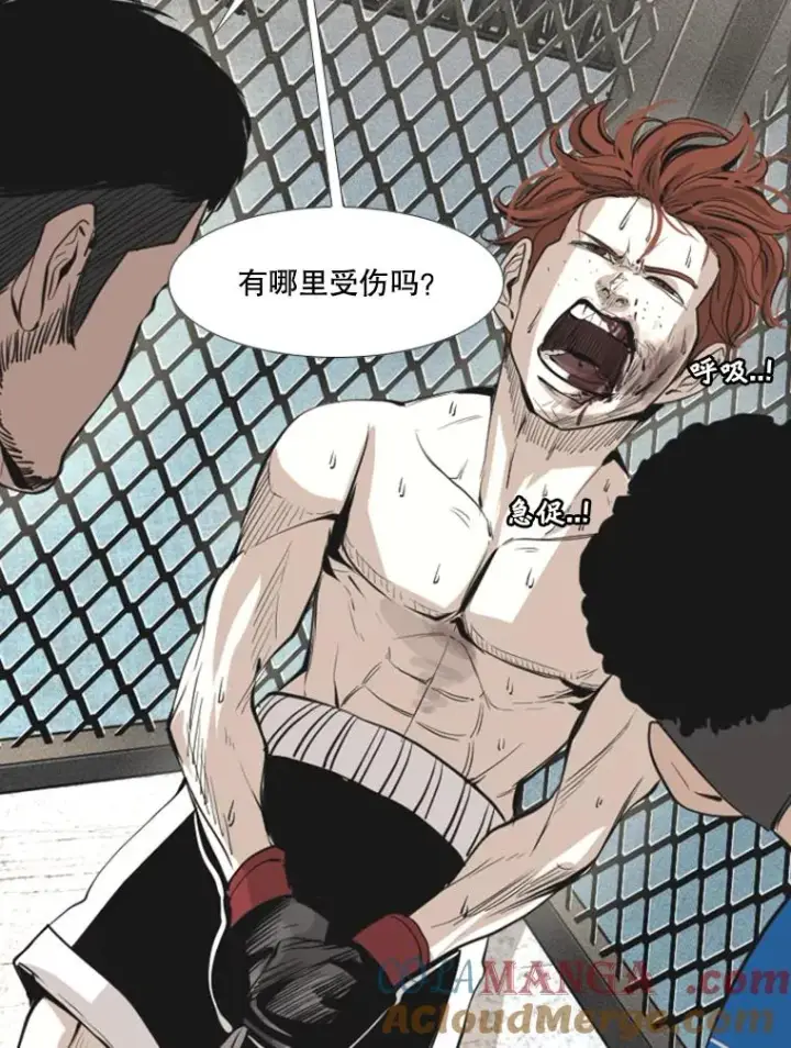 《鲨鱼》157.魔法踢腿图49