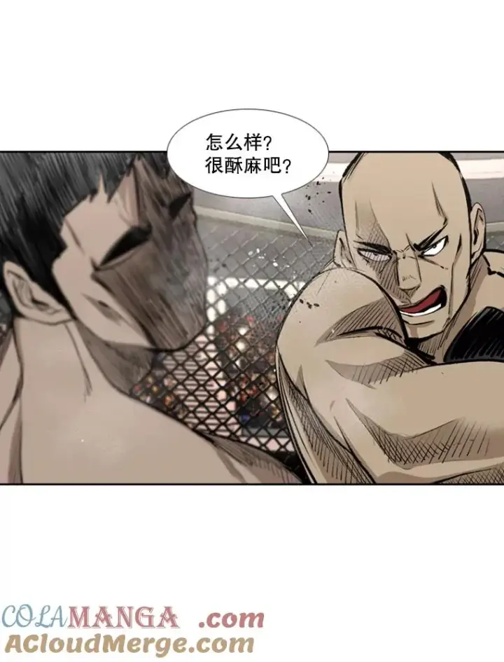 《鲨鱼》159.你给我等着图93