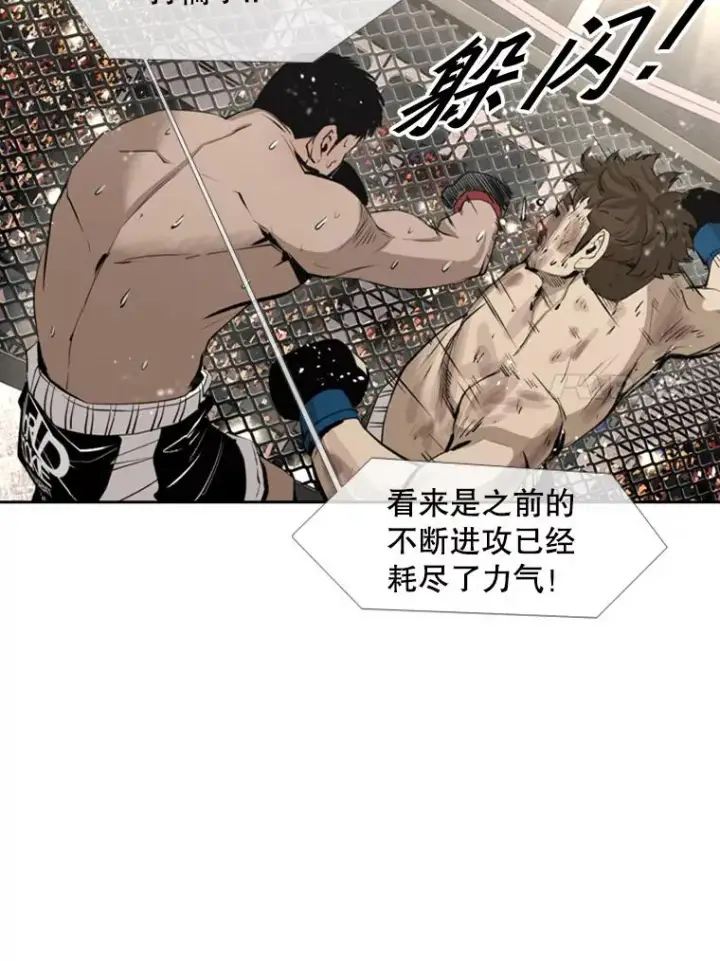 《鲨鱼》160.不屈的斗魂图55