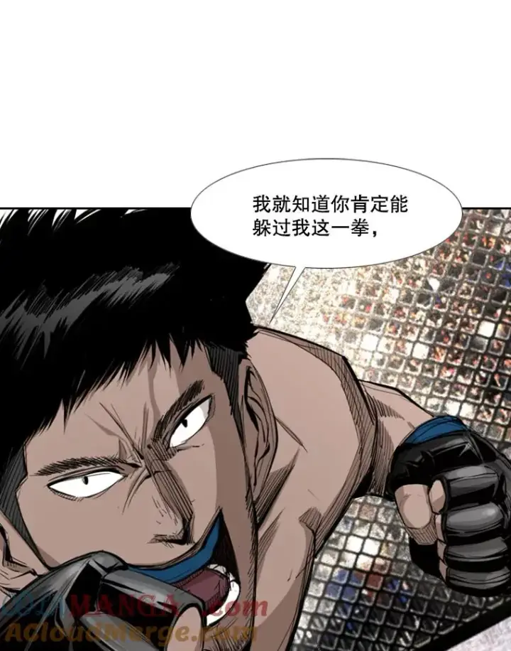 《鲨鱼》166.好戏上演图13