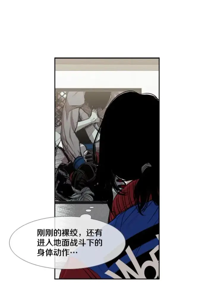 《鲨鱼》177.胜利和失败图35