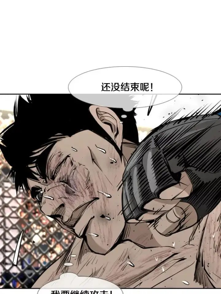 《鲨鱼》177.胜利和失败图40