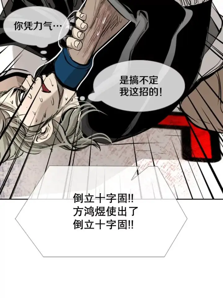 《鲨鱼》177.胜利和失败图46