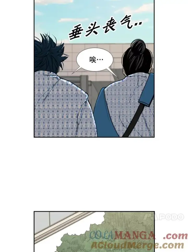 《鲨鱼》181.安心养病中图45